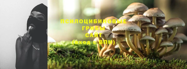 дживик Краснотурьинск