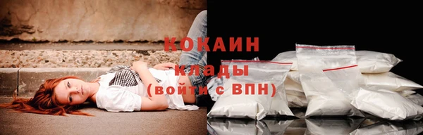 гидра Костерёво