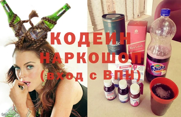 дурь Краснослободск