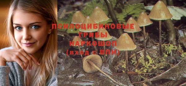 MESCALINE Красноперекопск