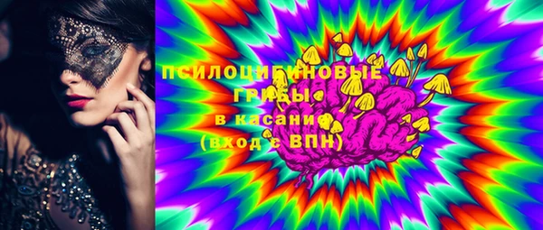 дурь Краснослободск