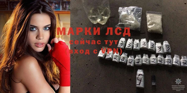 дурь Краснослободск