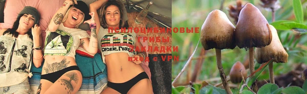 MESCALINE Красноперекопск