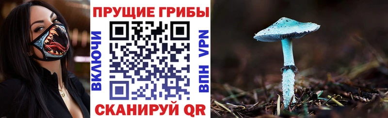 Купить закладки  Севастополь  Псилоцибиновые грибы прущие грибы 